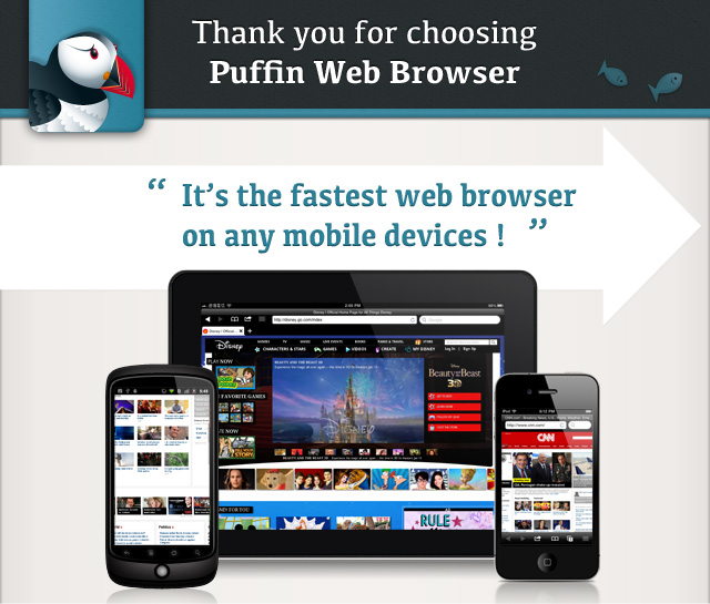 Puffin web browser: la tecnologia flash sbarca su android!