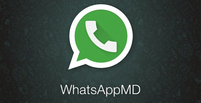 WhatsApp-MD-logo