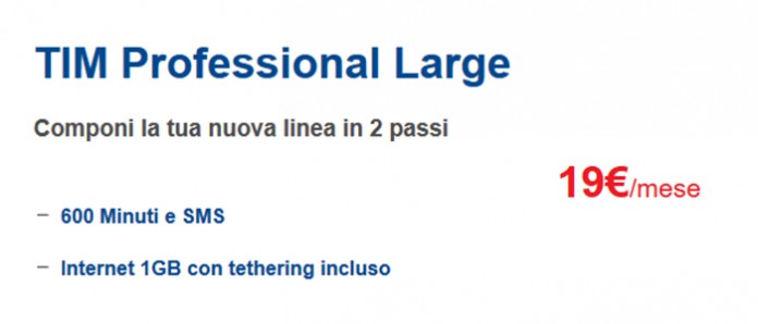 Opzione-Tim-Professional-Large-l'offerta-adatta-al-tuo-business-7