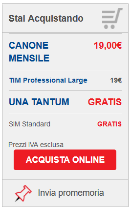 Opzione-Tim-Professional-Large-l'offerta-adatta-al-tuo-business-9