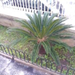 BQ Aquaris M5