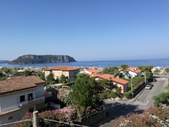 Foto scattata in condizioni di luci ottimali