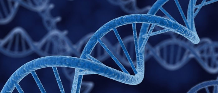 Google Genomics