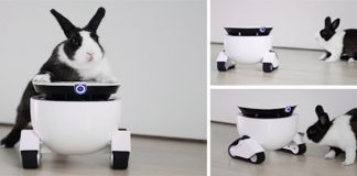 Roboming Fellow