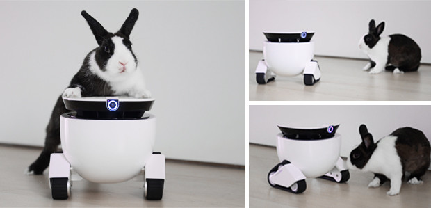 Roboming Fellow