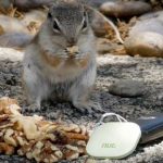 Tracker bluetooth