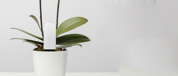 Xiaomi Plants Monitor TomTop