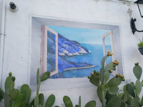 Foto 6