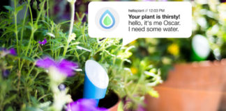 Helloplant sensore piante Kickstarter