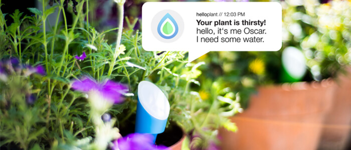 Helloplant-sensore-piante-Kickstarter-1 Helloplant sensore piante Kickstarter