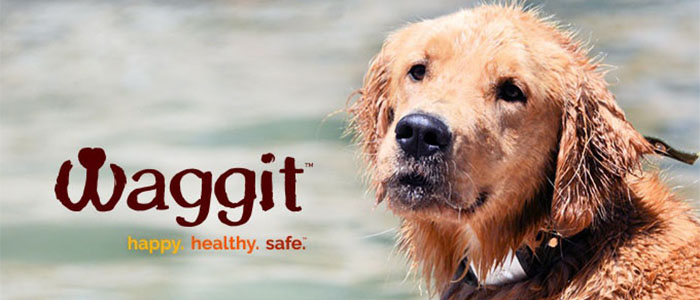 Waggit-collare-smart-cani-Kickstarter-1 Waggit collare smart cani Kickstarter