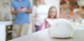 Capsule smart photo assistant Kickstarter