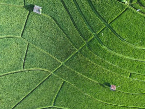 DJI Mavic Air