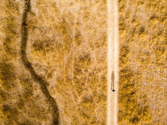 DJI Mavic Air