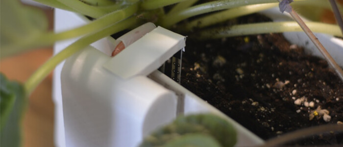 Botanist-cura-piante-Kickstarter-1 Botanist cura piante Kickstarter