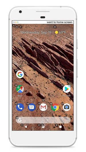 Google Voice Access