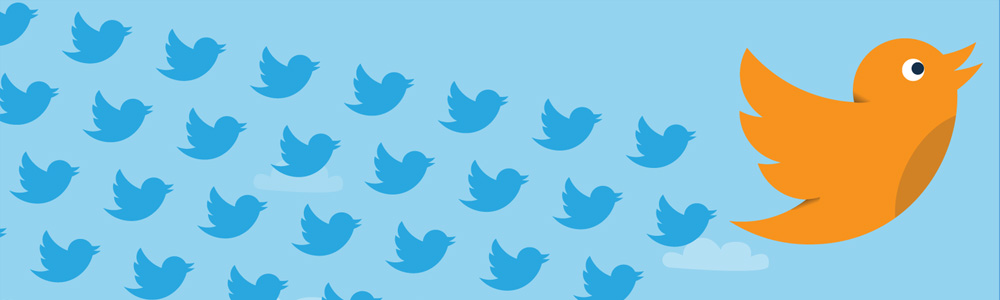Comprare follower Twitter