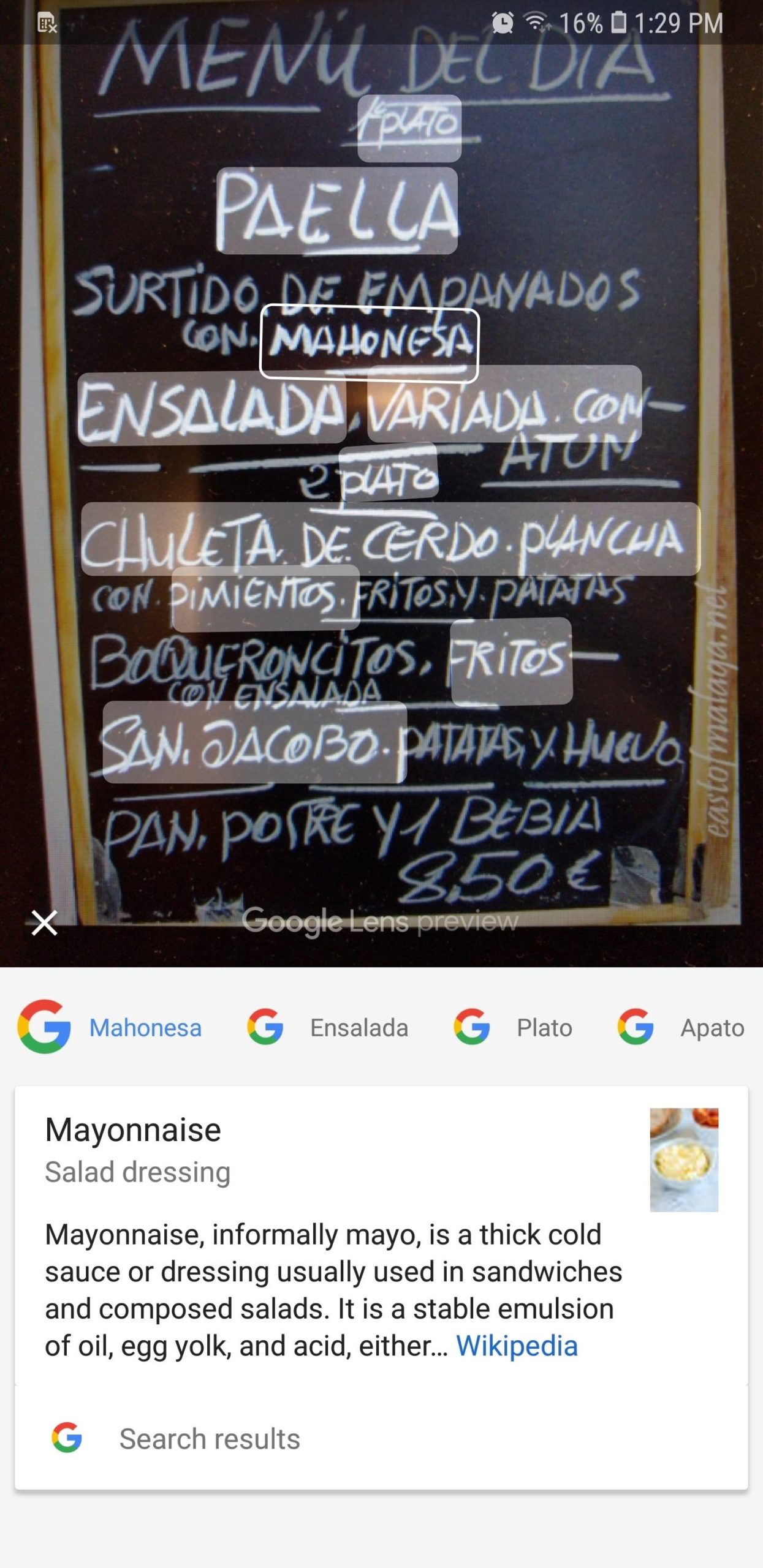 Tradurre il testo delle foto