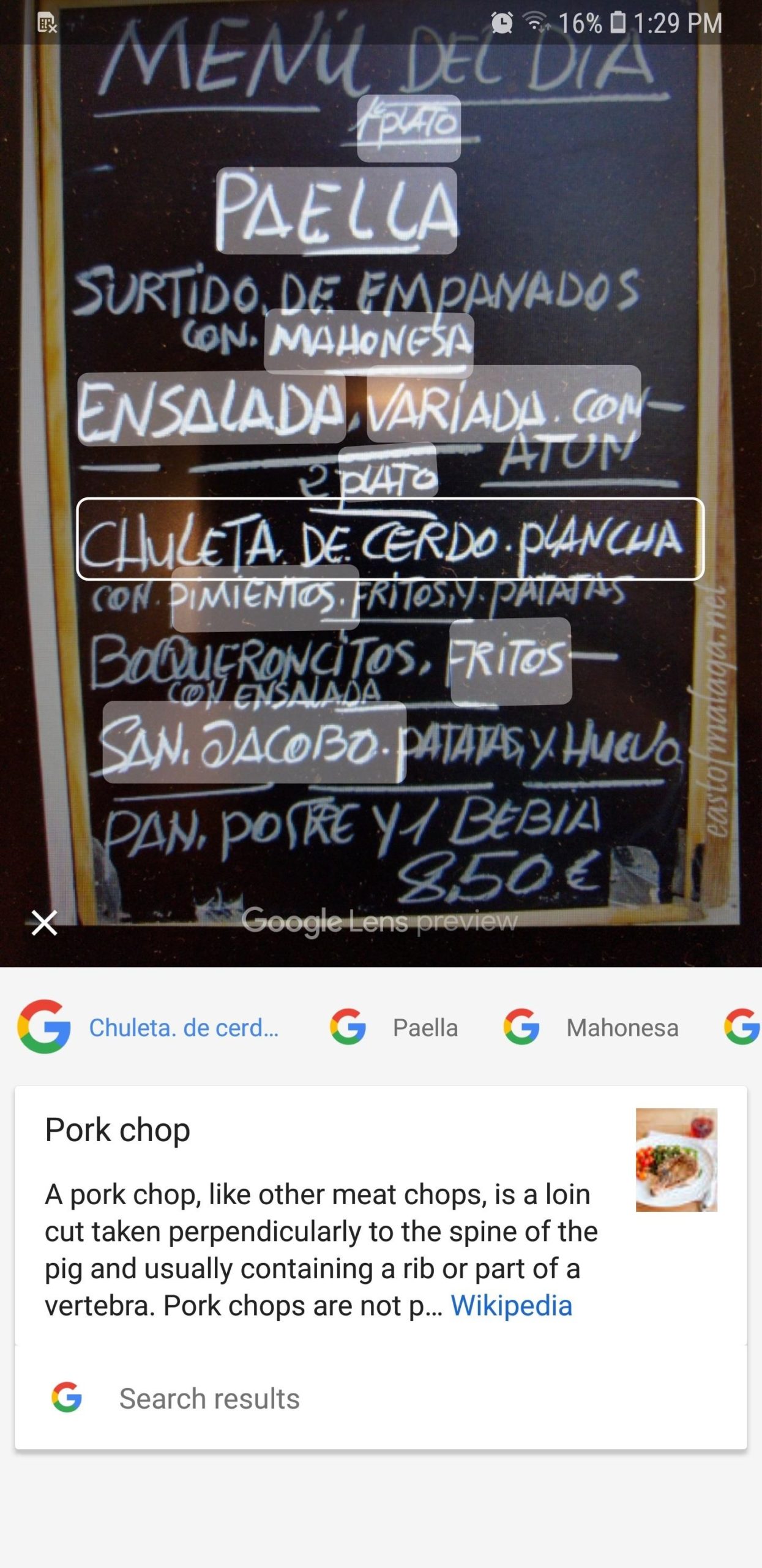 Tradurre il testo delle foto