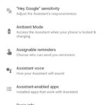 Google Assistant