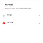 Google Assistant